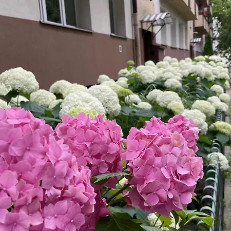 Na Muranowie - Mieszkanie Z Historia I In Muranow - A Flat With History 아파트 바르샤바